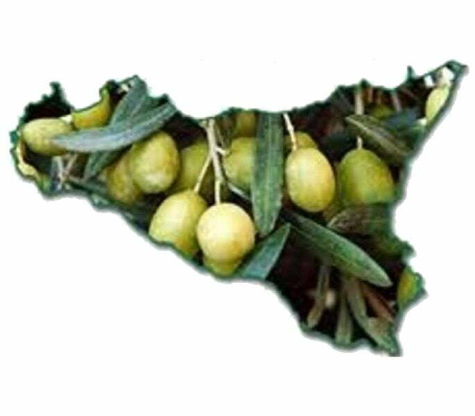 olio siciliano